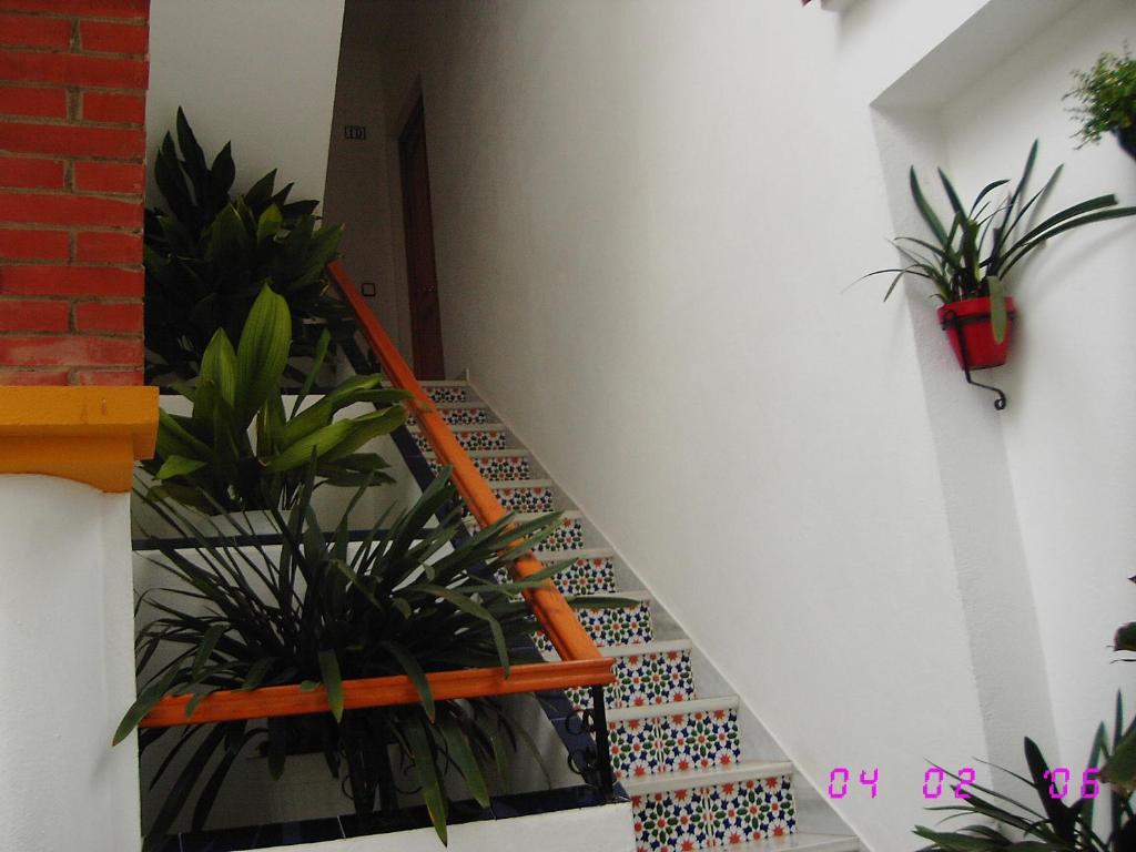 Apartamentos Los Arcos El Bosque Zimmer foto